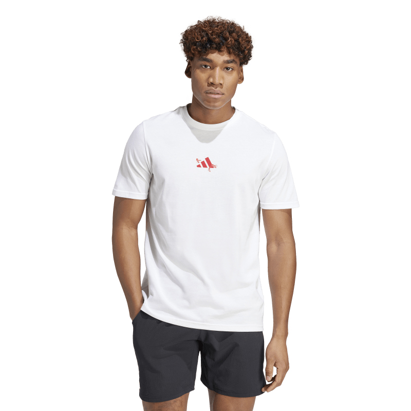 adidas Graphic Training Tee