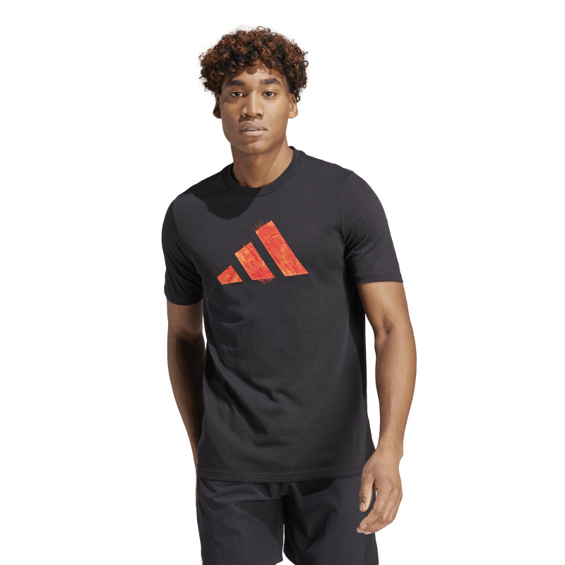 adidas Graphic Training Tee