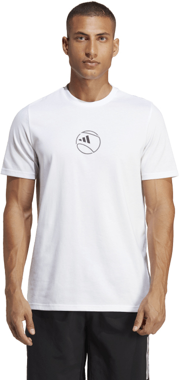 adidas Graphic Training Tee